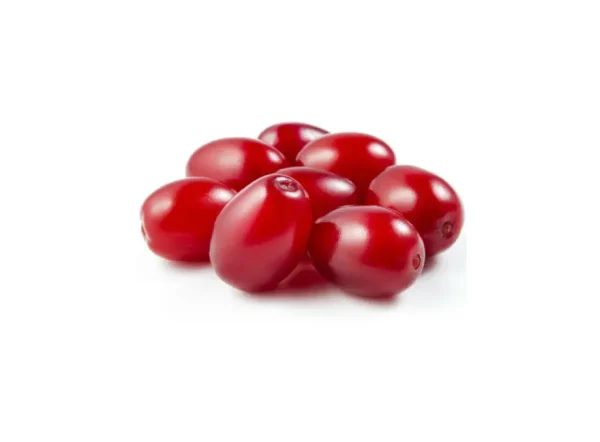 Aşılı Kızılcık Fidanı