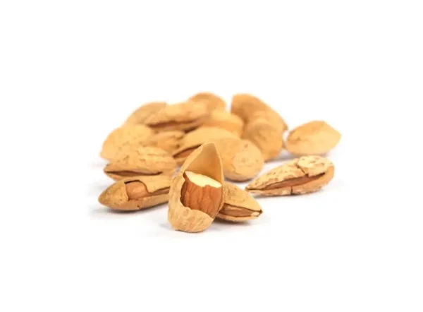 Bertina Badem Fidanı