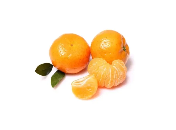Bodrum Mandalina Fidanı