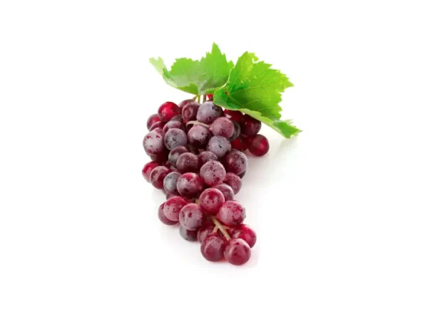 Crimson Seedless Asma Fidanı