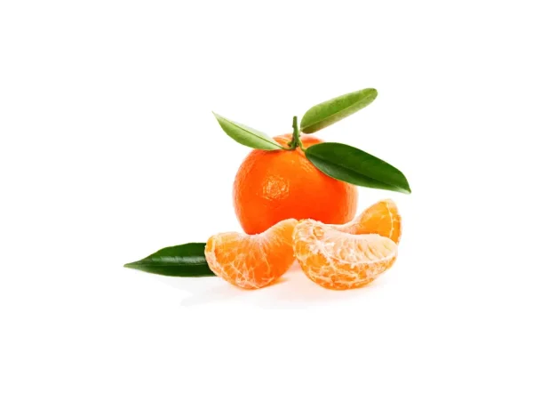 Dobashi Beni Mandalina Fidanı