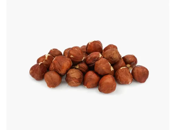 Giresun Fındık Fidanı