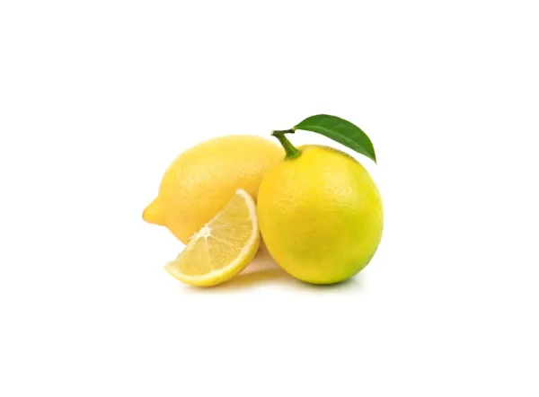 Kıbrıs Limon Fidanı