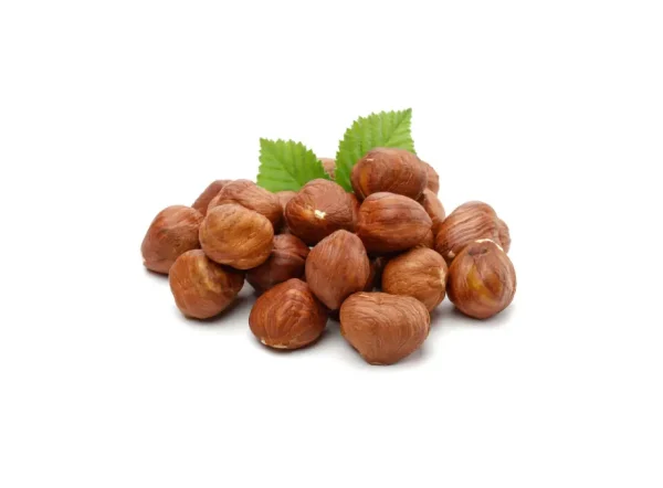 Kuş Fındık Fidanı