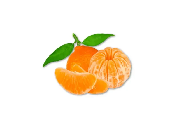 Miho Wase Mandalina Fidanı
