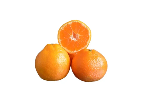 Okitsu Wase Mandalina Fidanı