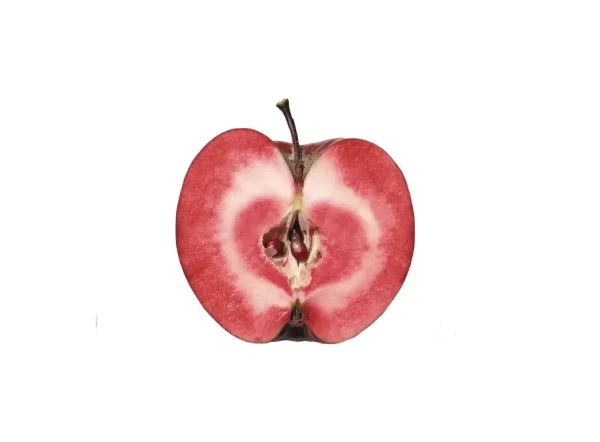 Red Love Elma Fidanı