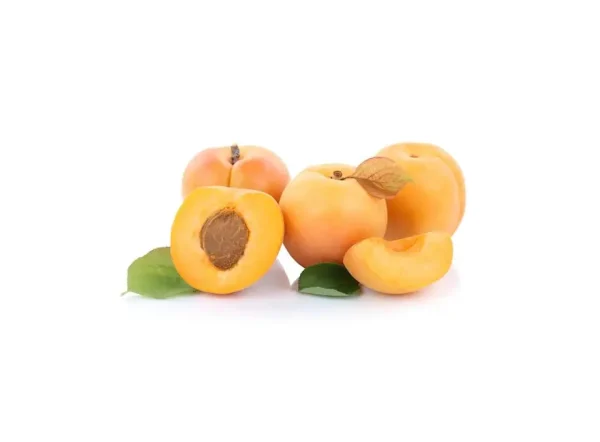 Roxana Kayısı Fidanı