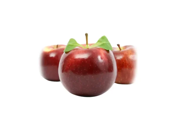 Summer Red Elma Fidanı