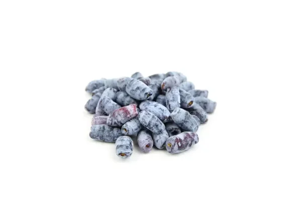 Tundra Bal Yemişi Fidanı