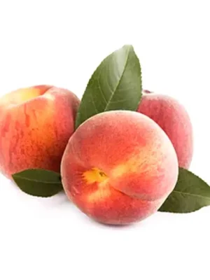 early-rich-şeftali-fidanı Early Rich Şeftali Fidanı