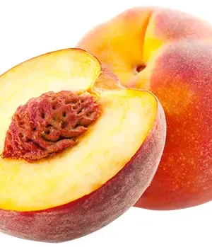 elegant-lady-seftali Elegant Lady Şeftali Fidanı