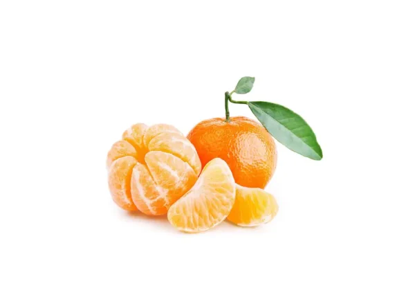 Nova Mandalina Fidanı