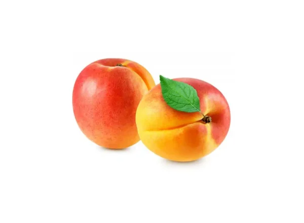 Ruby Kayısı Fidanı