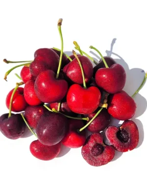 Skeena Kiraz Fidanı