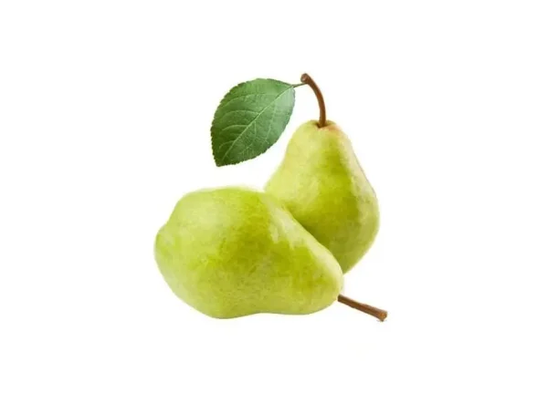 Temmuz Güzeli Armut Fidanı