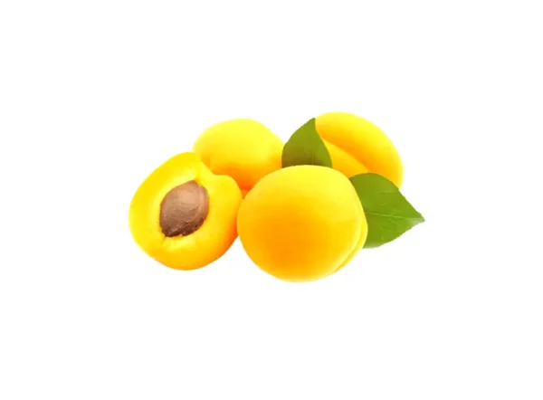 Vitillo Kayısı Fidanı